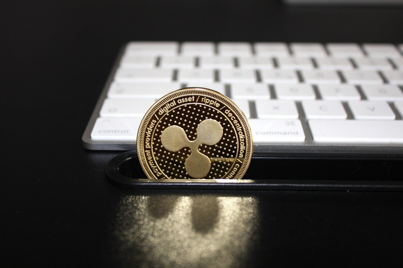 Ripple på väg mot framgång